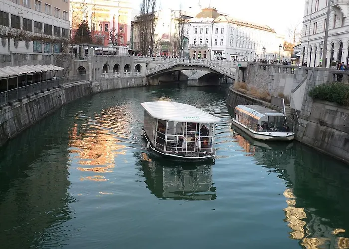 Bright & Light Lejlighed